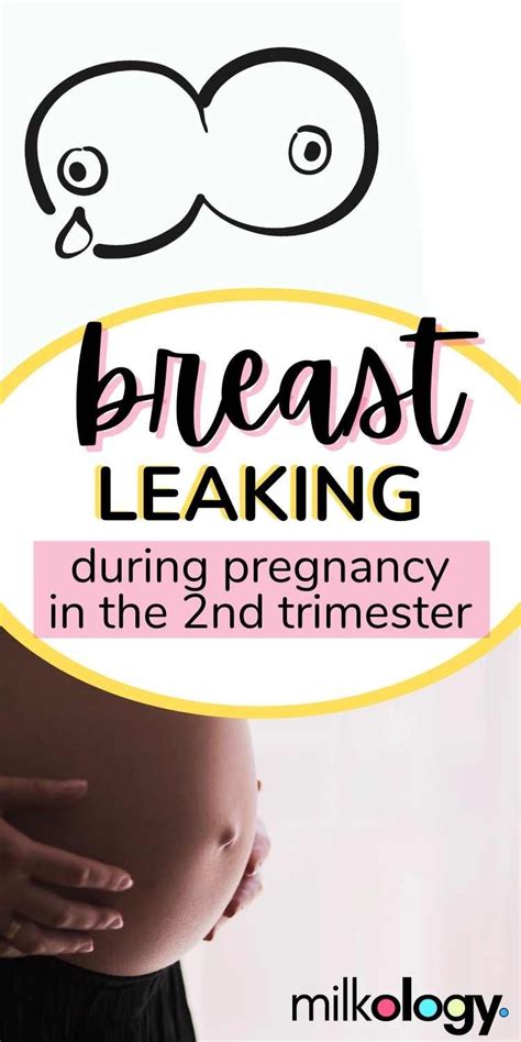 breast leaking during pregnancy 2nd trimester|Help! My Breasts Are Leaking During Pregnancy (2nd Trimester ...